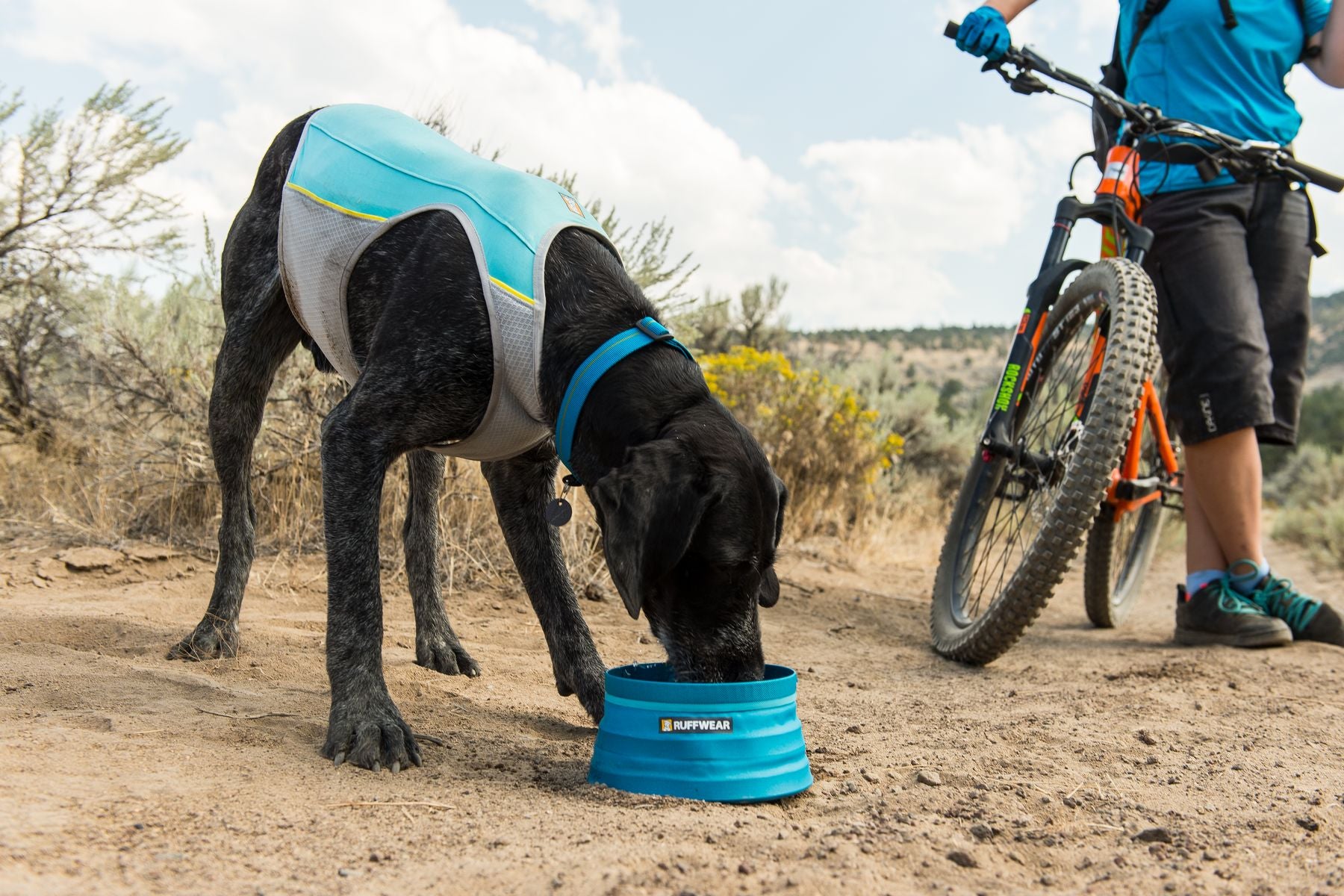 Ruffwear Dog Cooling Vest: Jetstream