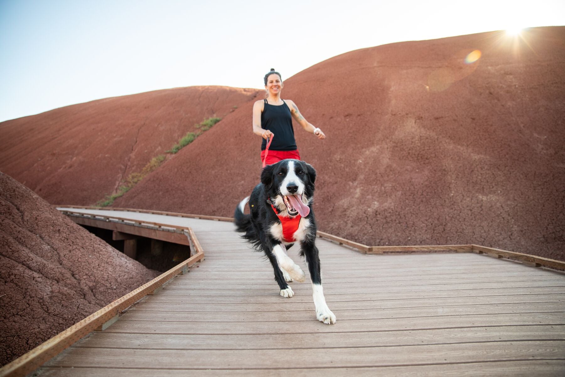 Ruffwear Dog Harness No-Pull: Front Range (FINAL SALE)