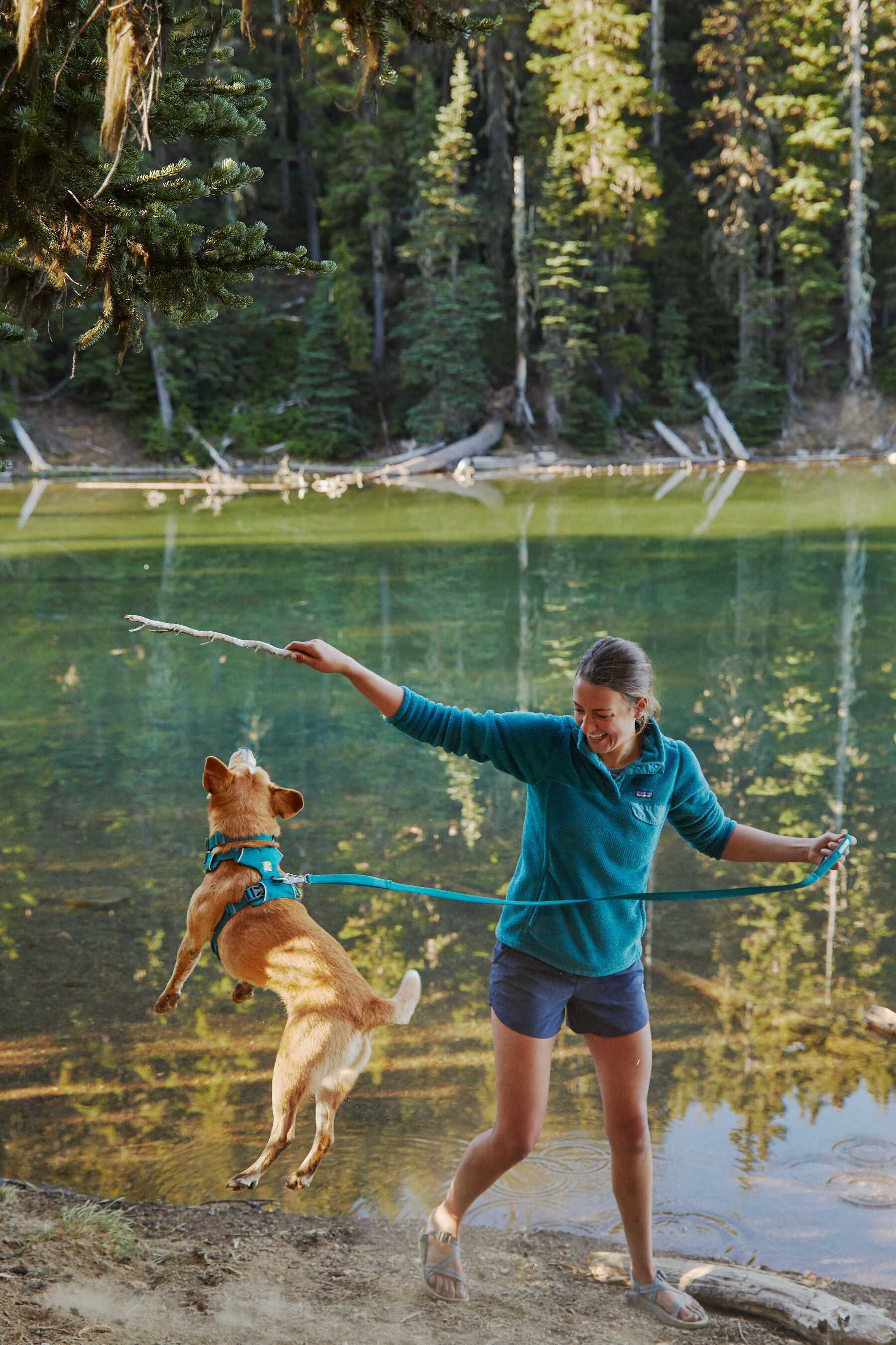 Ruffwear Dog Harness No-Pull: Front Range (FINAL SALE)