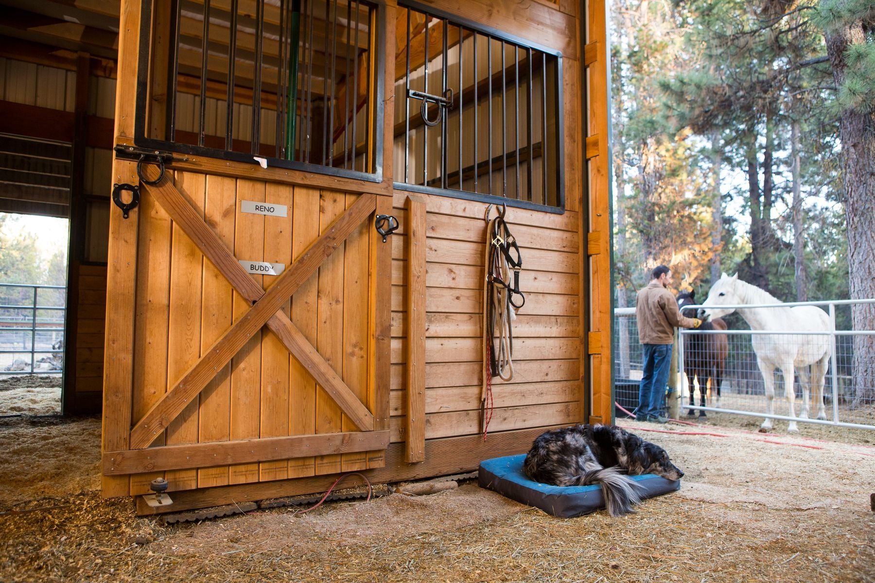 Ruffwear Urban Sprawl Bed for Dogs and Cats