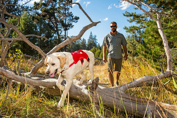 Ruffwear adventure harness cheap