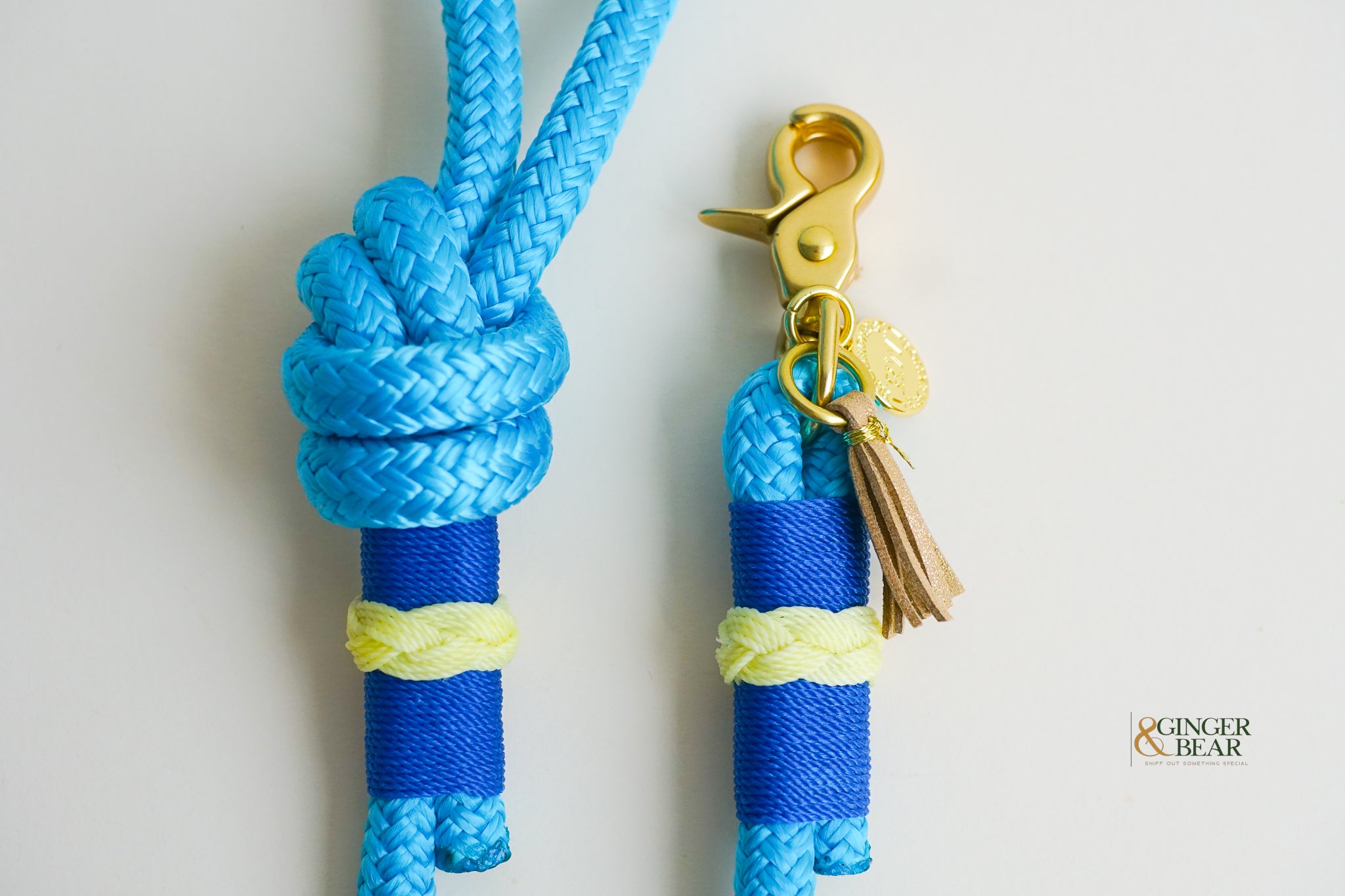 Rugged Hudson Dog Leash: Knotted Yellow on Light Blue rope
