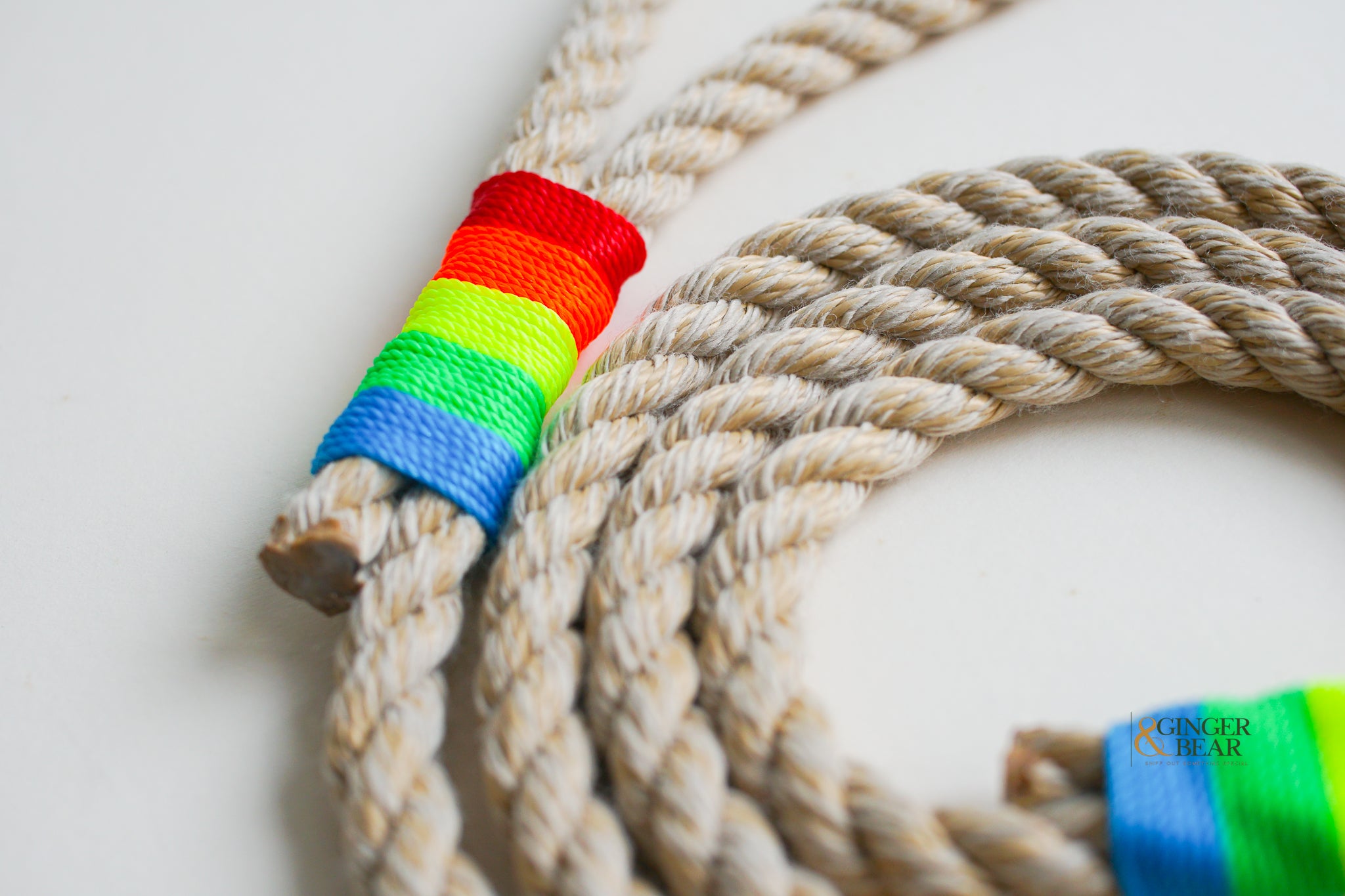 Rugged Hudson Dog Leash: Rainbow on Natural rope