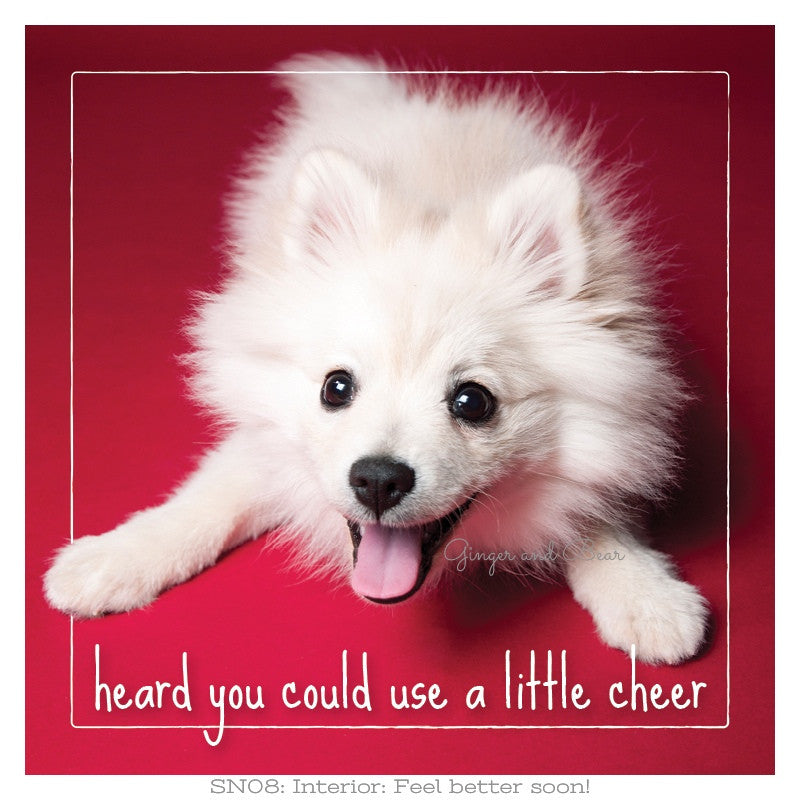 Get well soon: Roxy's A Little Cheer