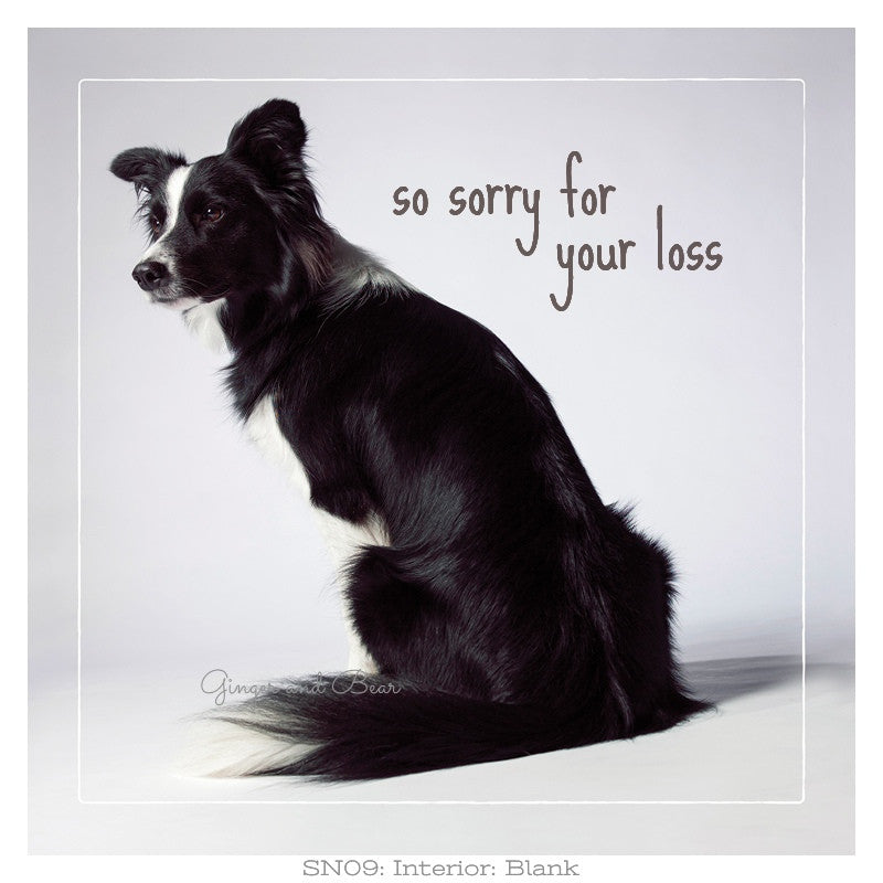 Sympathy: Kate's Sorry for your Loss