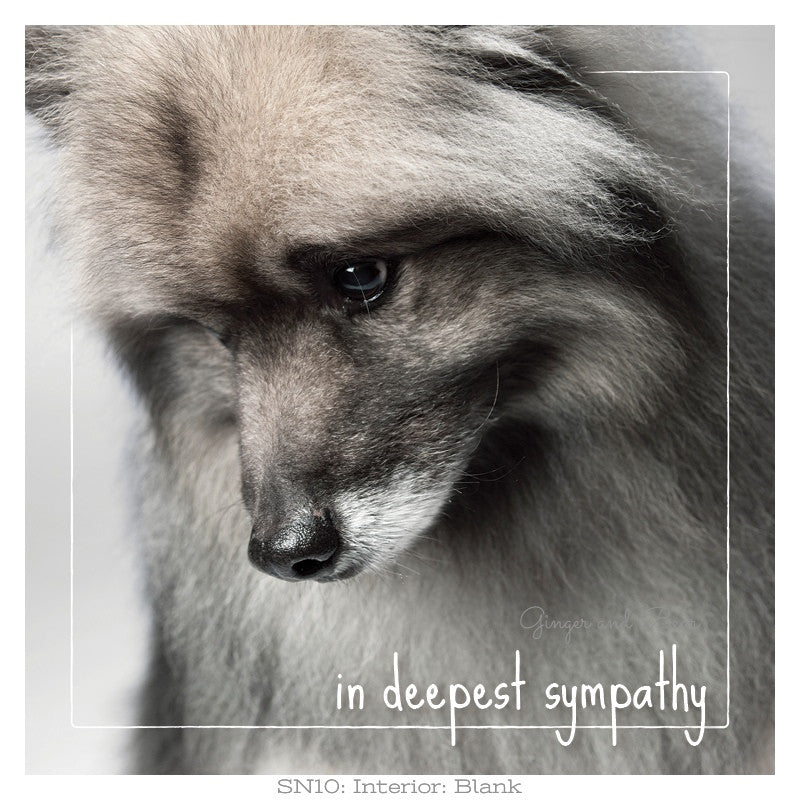 Sympathy: Rex's In Deepest Sympathy