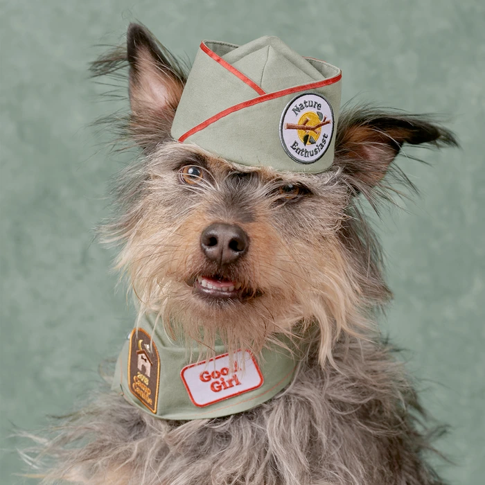Dog Merit Badges: Nature Enthusiast