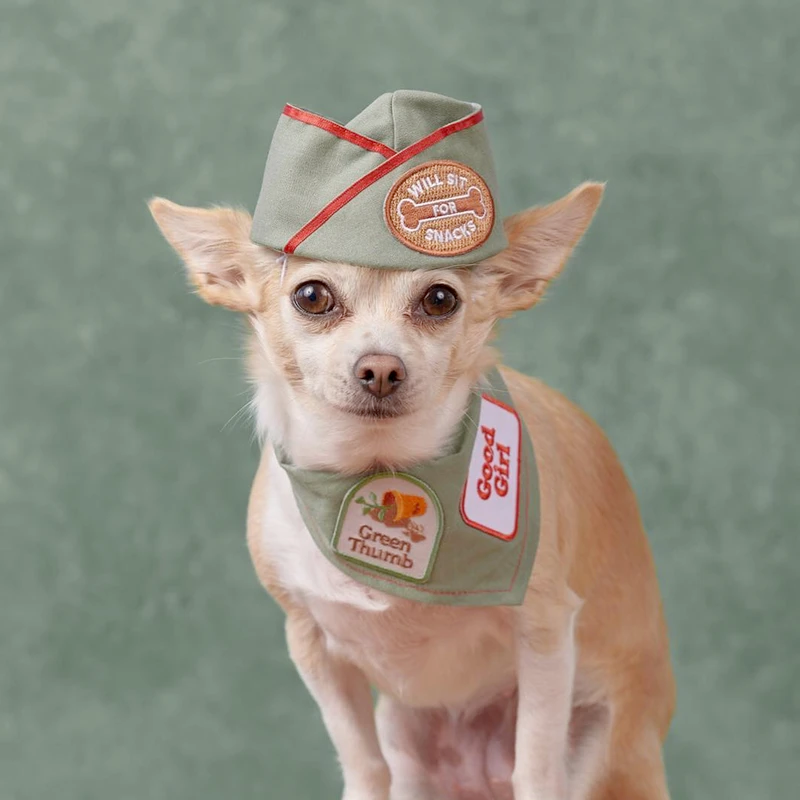 Dog Merit Badges: Good Girl