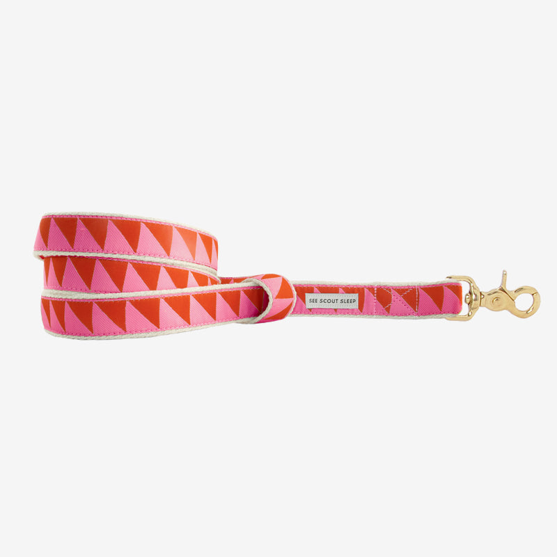 Nice Grill Dog Leash: Ruby Hot Pink