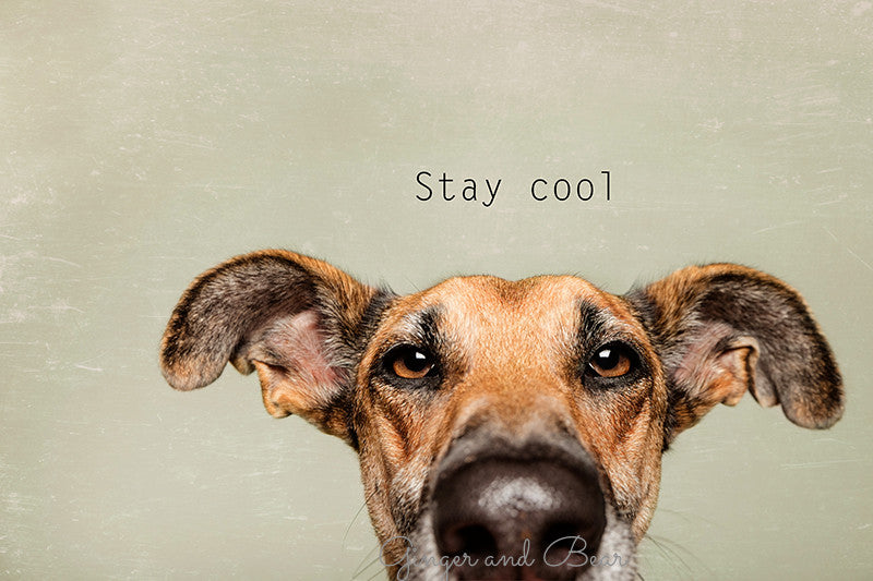 Postcard: Stay cool