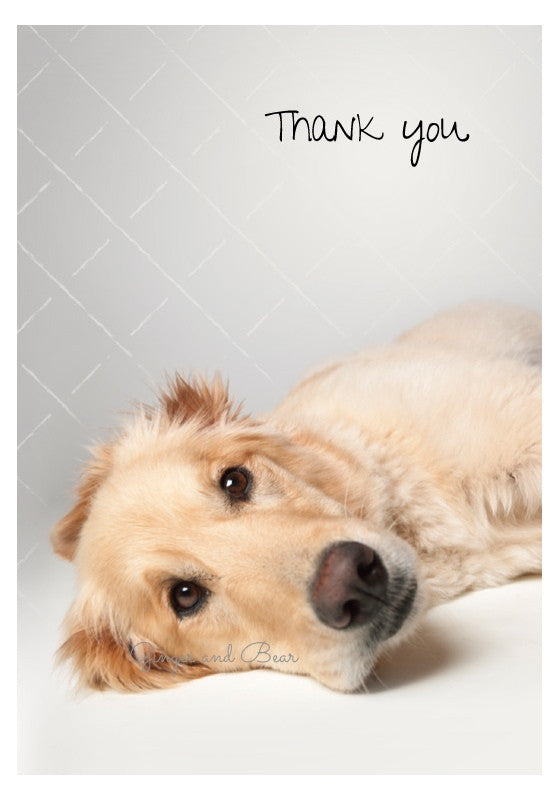 Thank you Notecard box: Golden Retriever