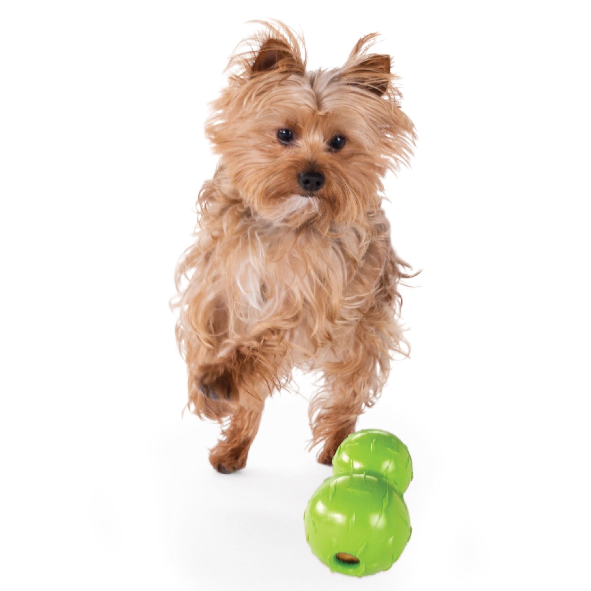 Dog Toy: Diamond Plate (FINAL SALE)