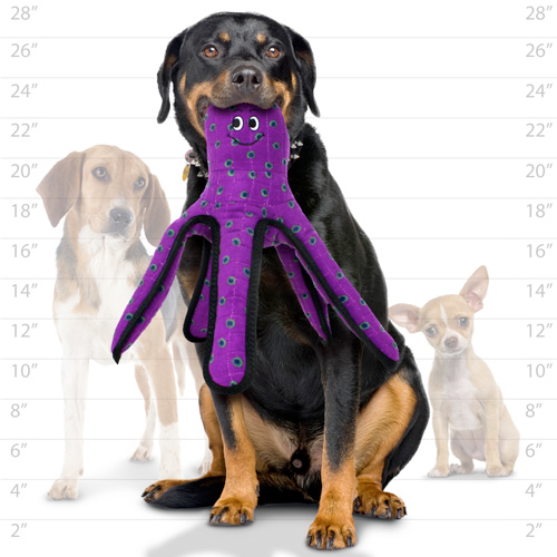 Tuffy Ocean Dog Squeaky Toys, Octopus