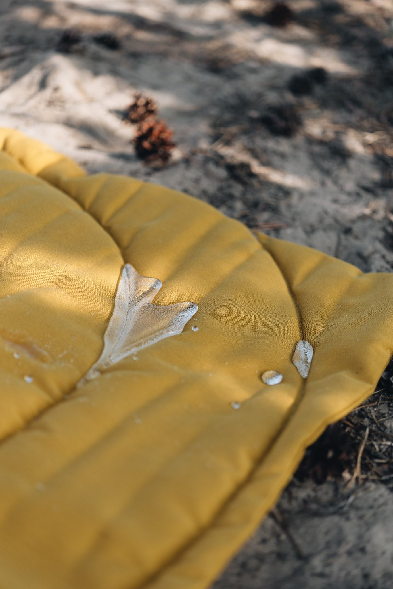 Band & Roll Compass Travel Dog Blanket | Lightweight & Portable