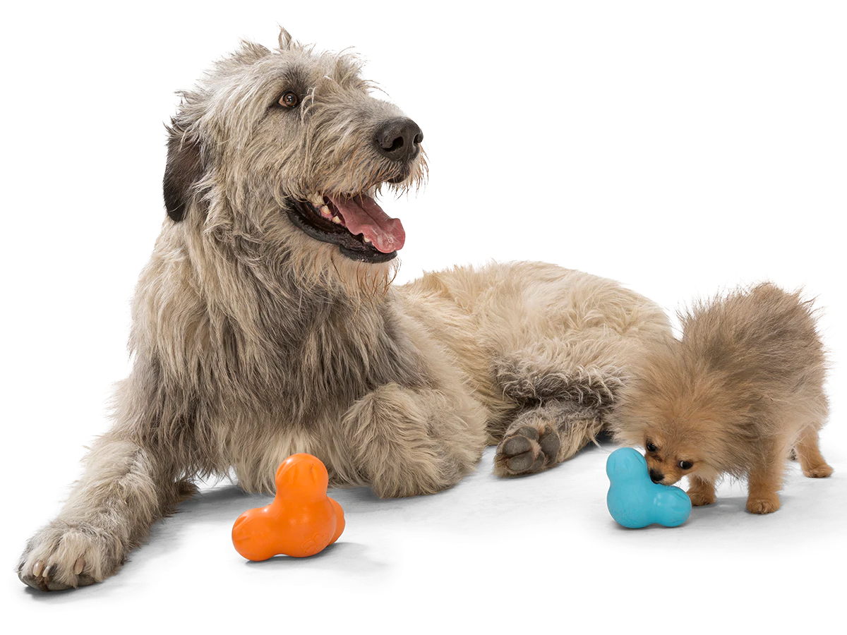 Interactive puzzle, food-dispensing dog toy, Zogoflex Tux