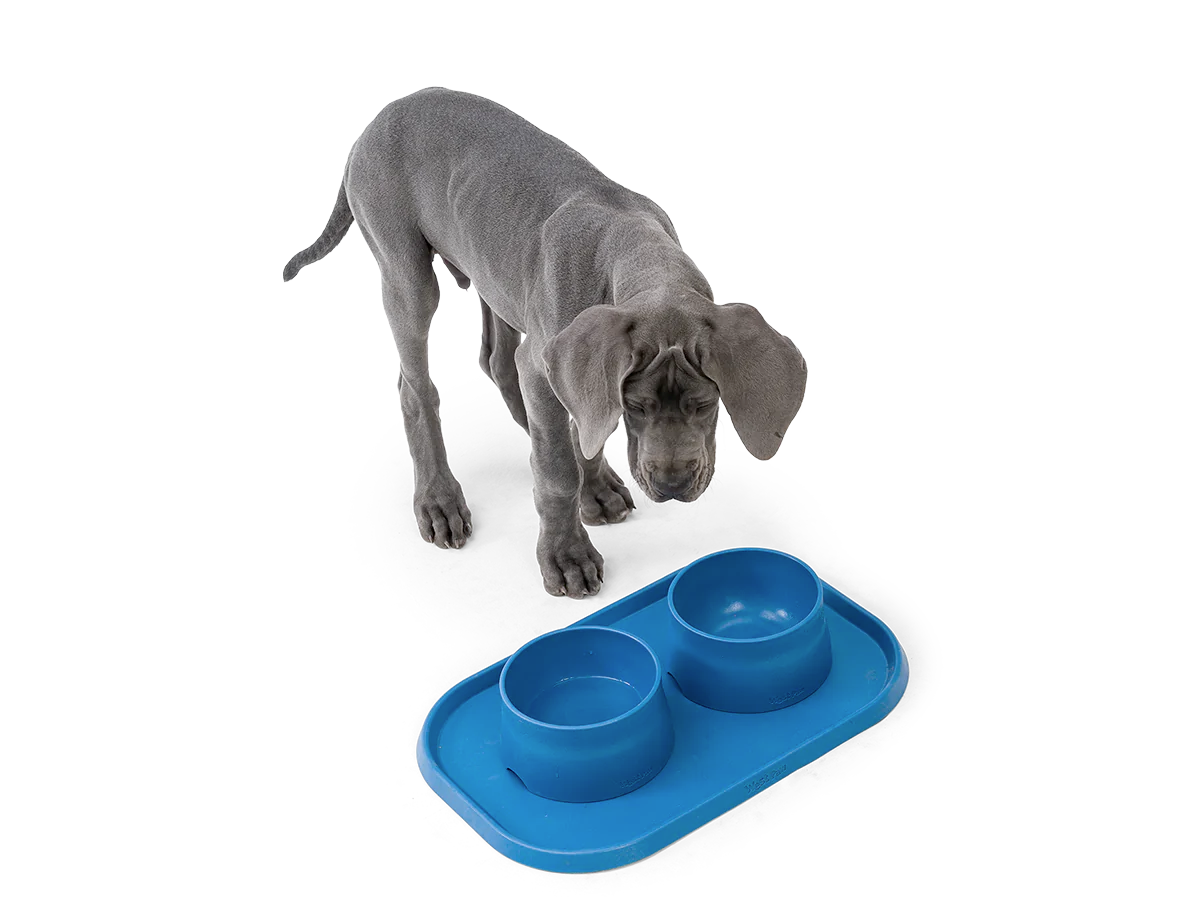 Dog Food and Drink Non-slip Eco Sustainable Bowl: Seaflex Marine