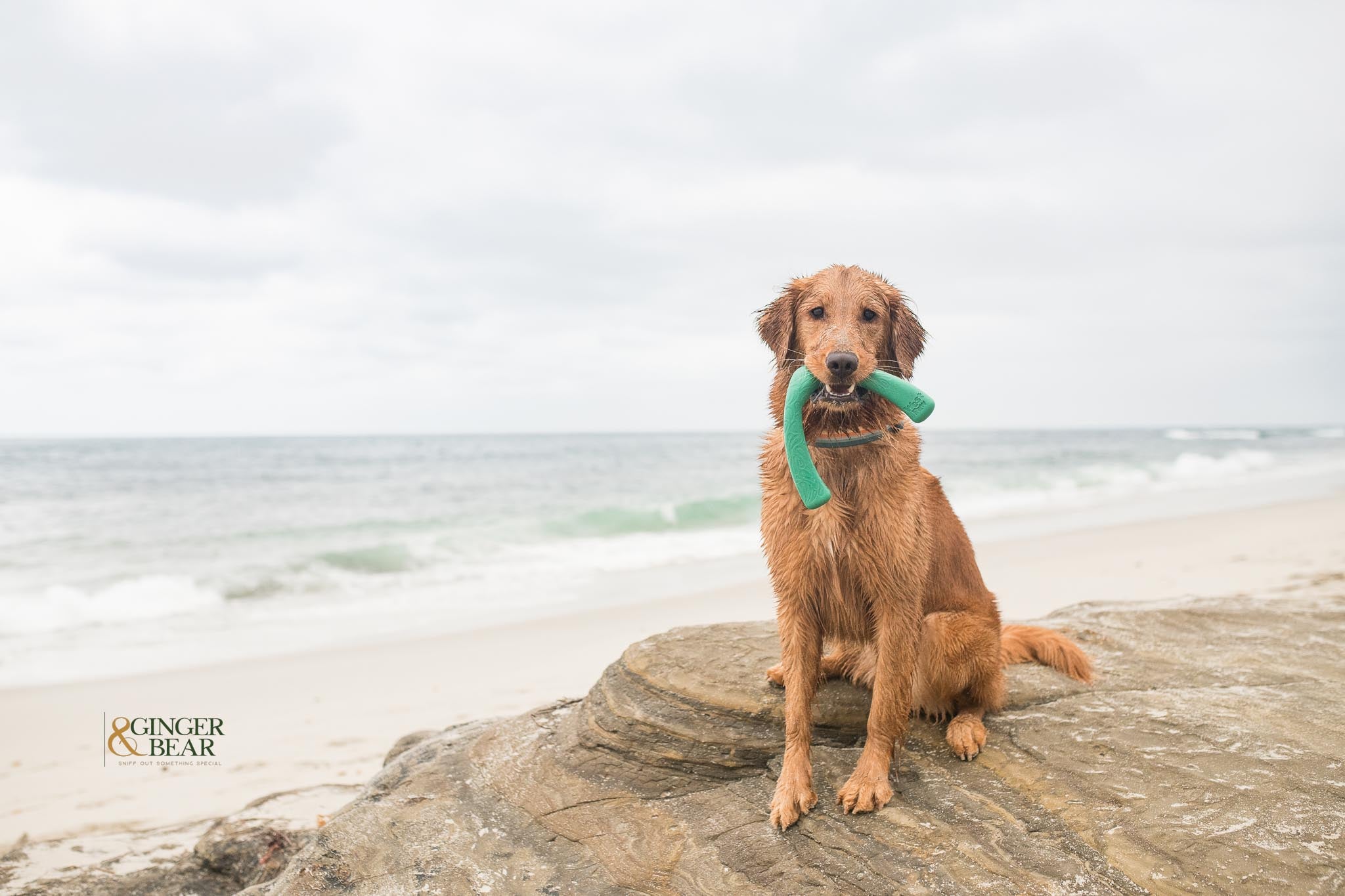 Toss and Fetch Dog toy, Seaflex Snorkl