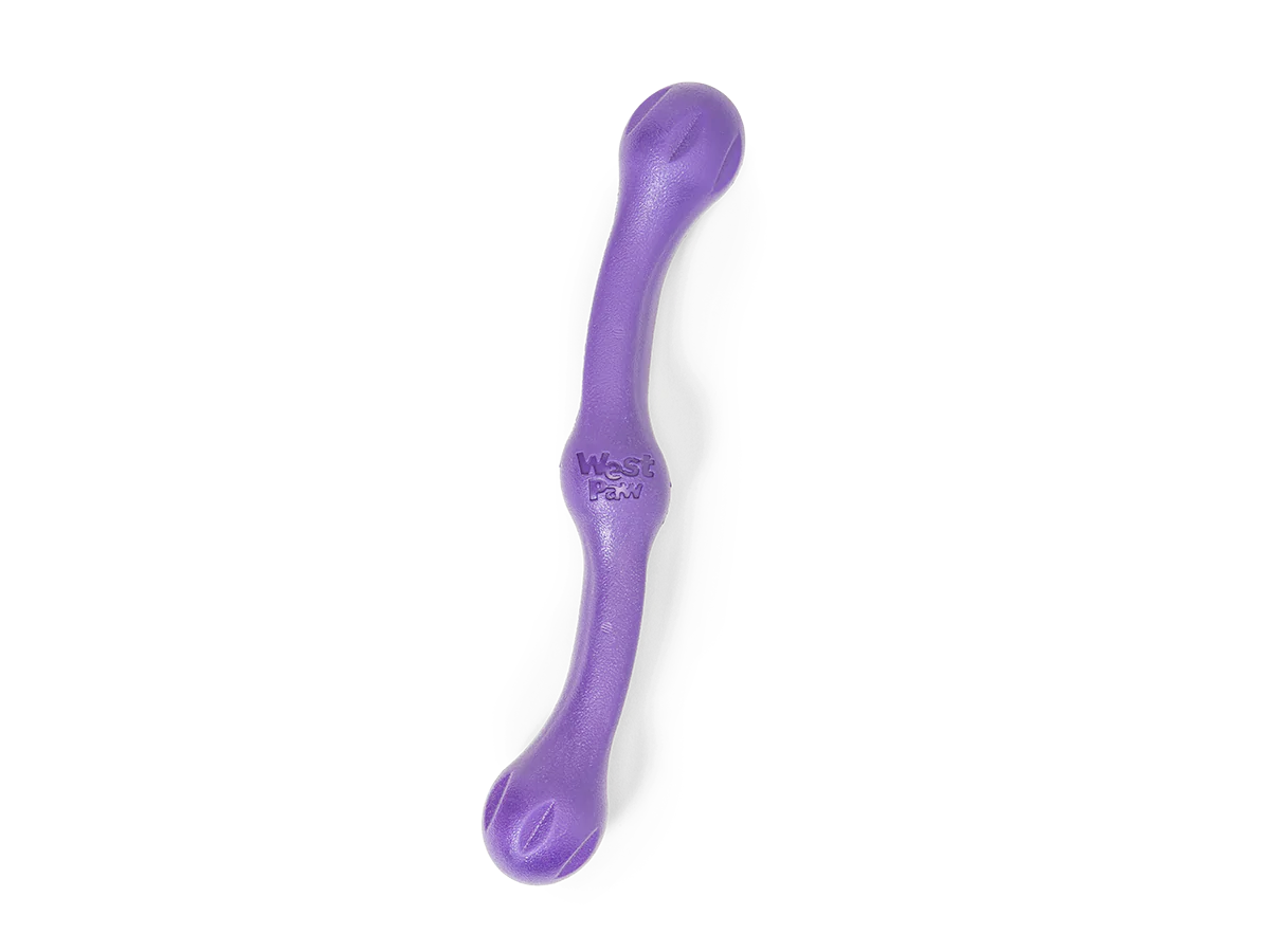 Toss and Fetch Dog toy, Zogoflex Echo Zwig