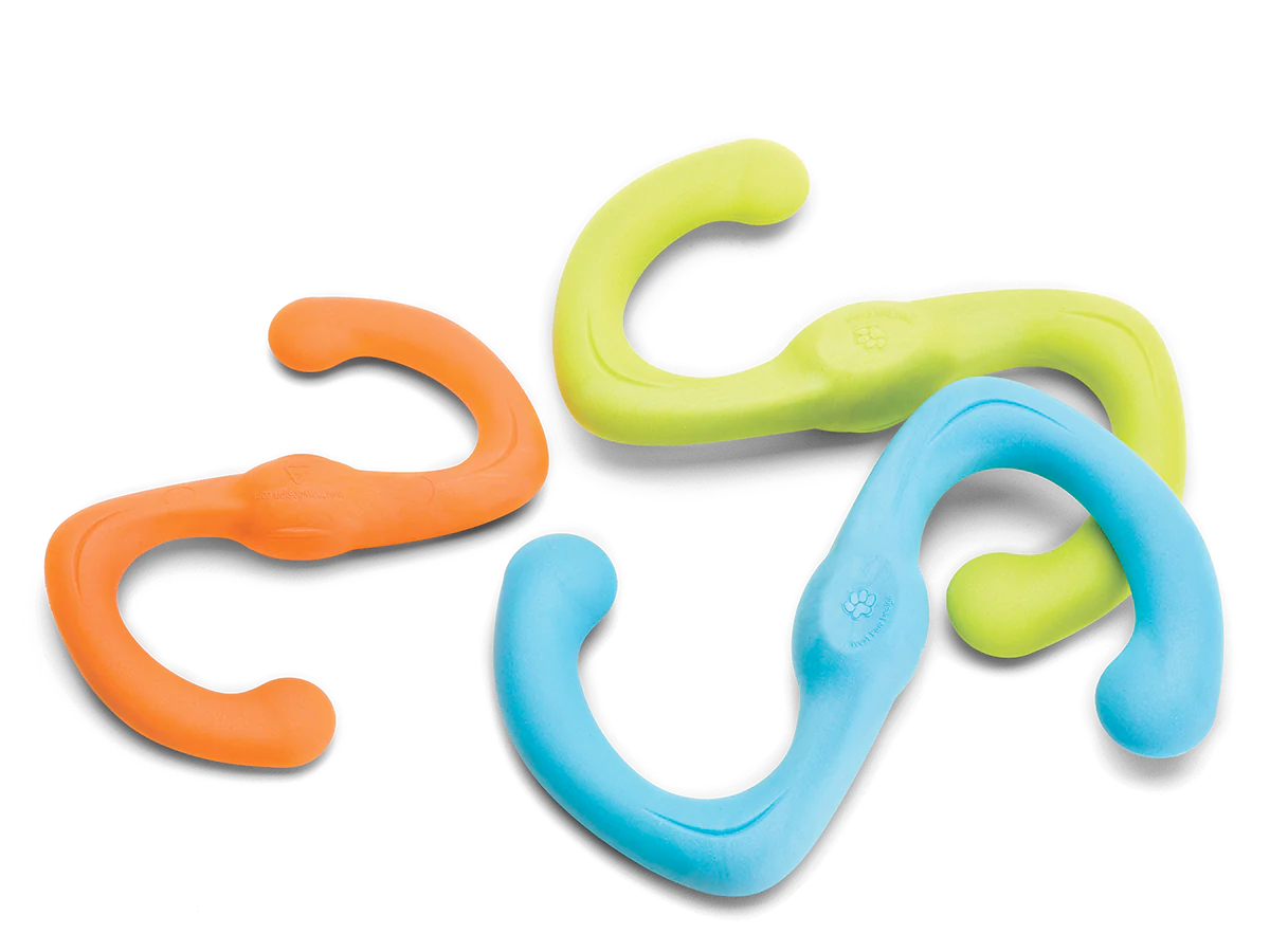 Toss and Fetch Dog toy, Zogoflex Bumi