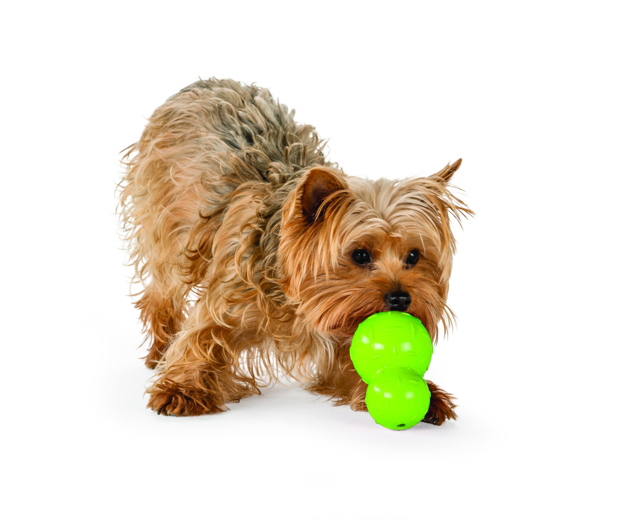 Dog Toy: Diamond Plate (FINAL SALE)