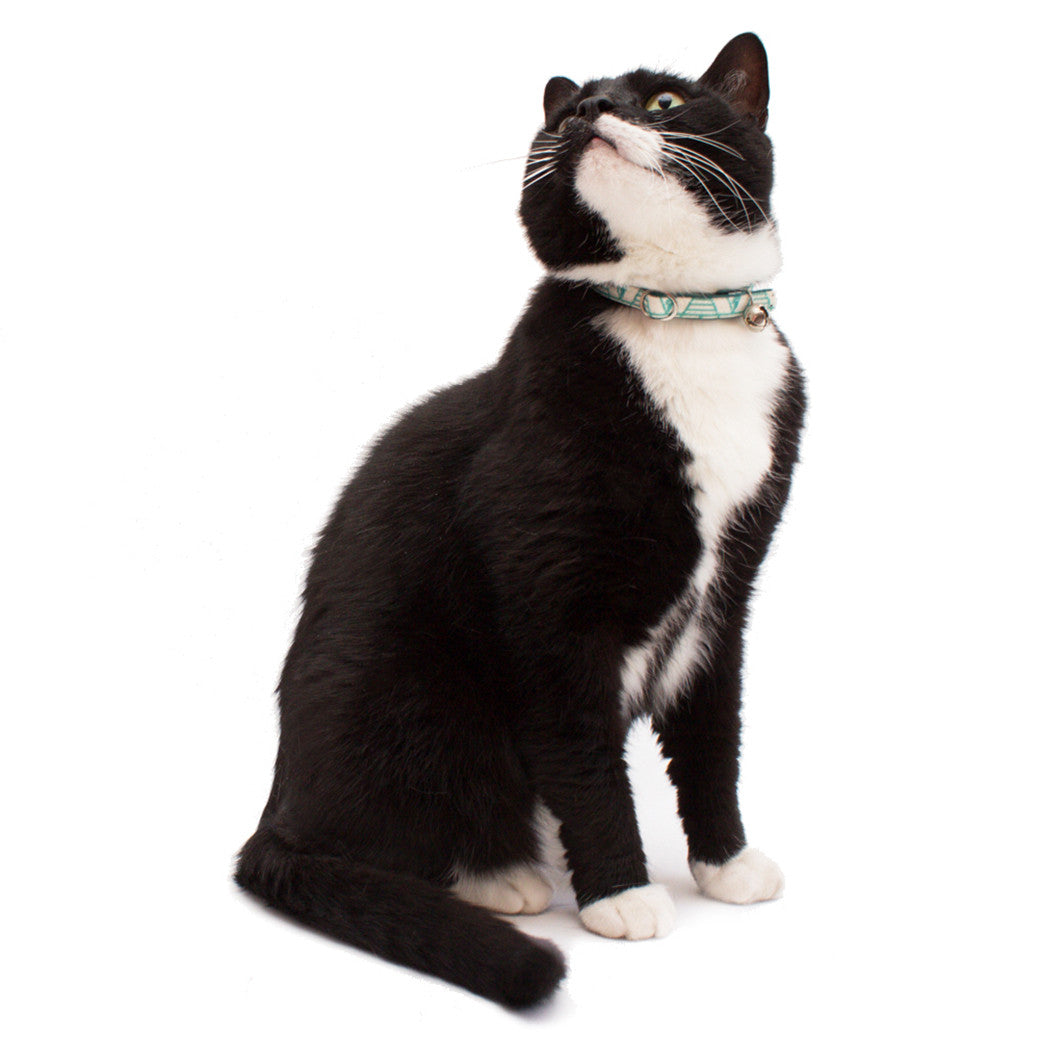 Hiro+Wolf Cat Collar, Geo Green