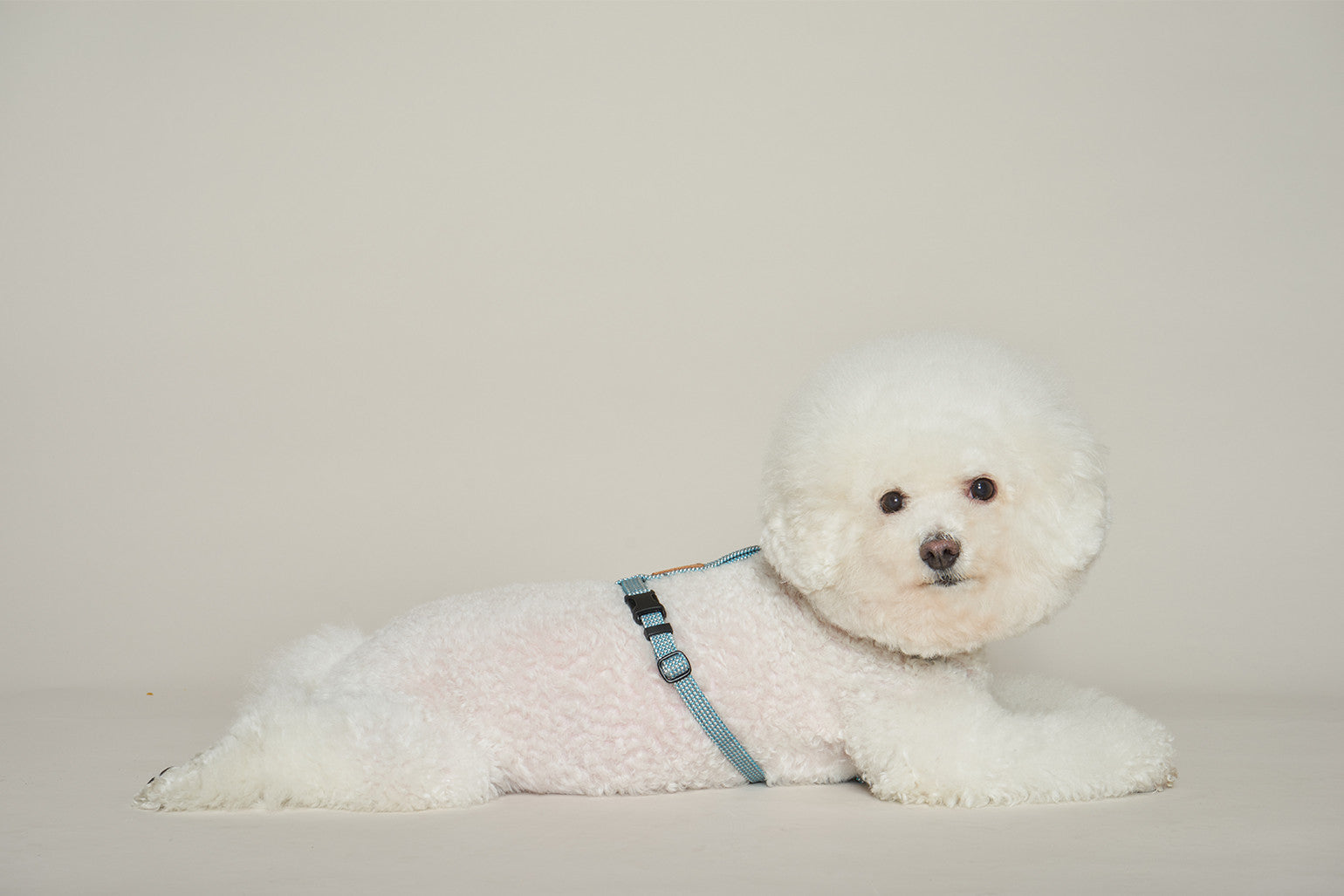 HowlPot We are Tight Harness Deep Sea