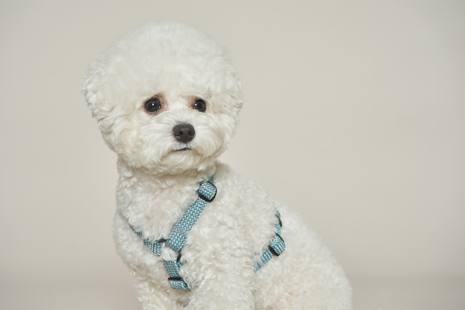 HowlPot We are Tight Harness Deep Sea