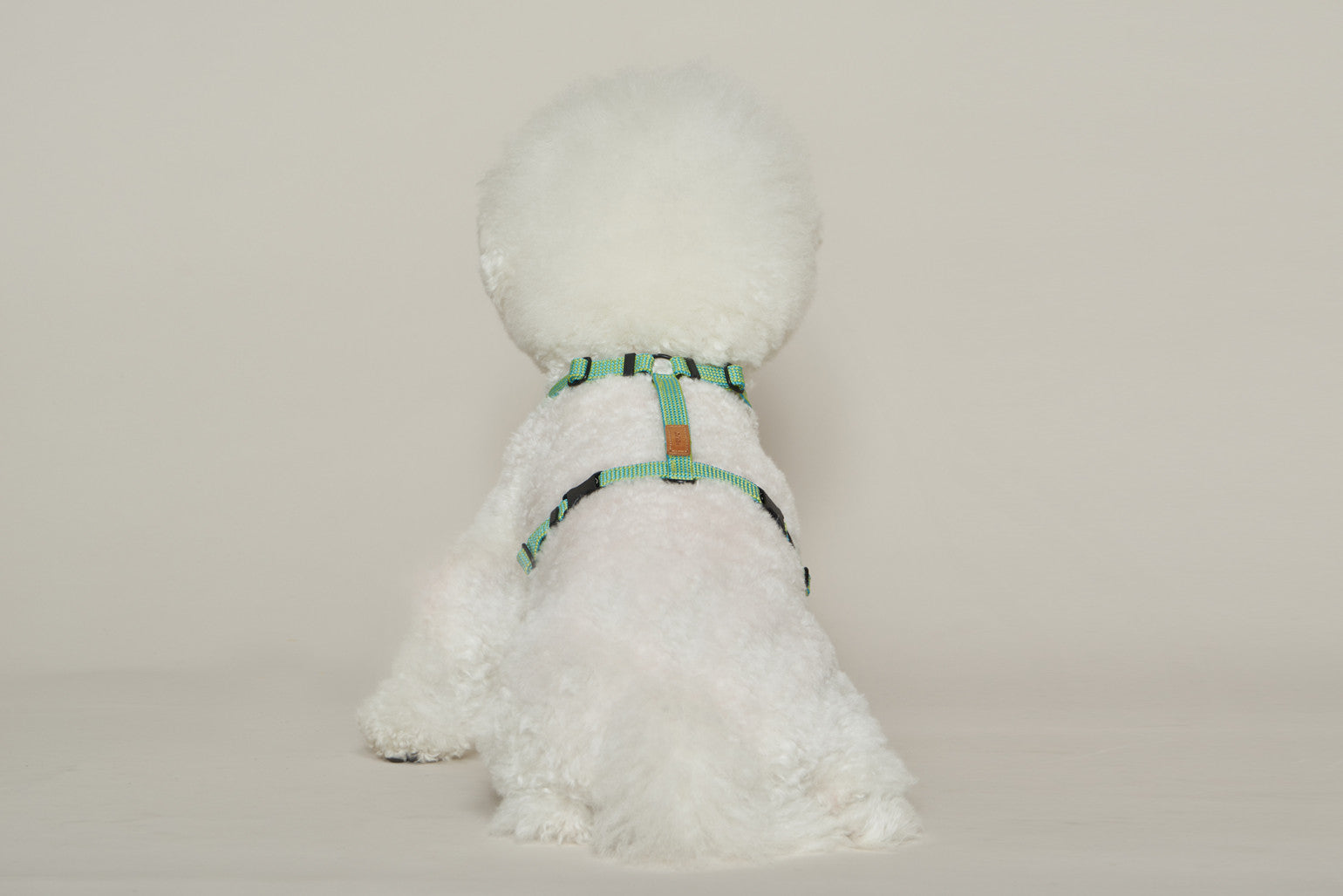 HowlPot We are Tight Harness Palm Tree