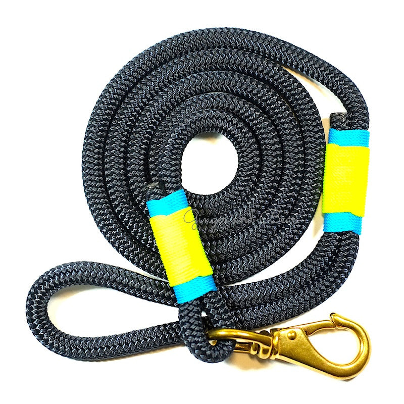Rugged Hudson Leash: KeyLime, Navy