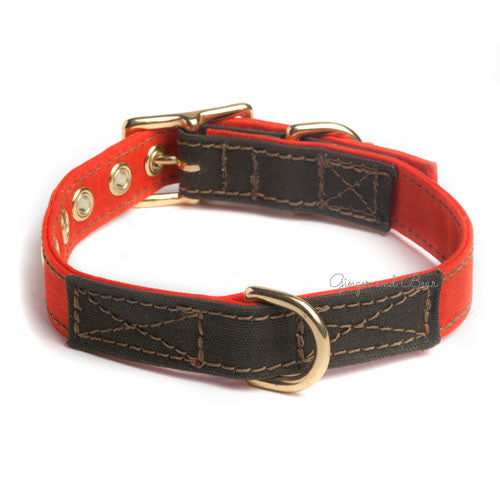 Cotton Canvas Collar, Orange