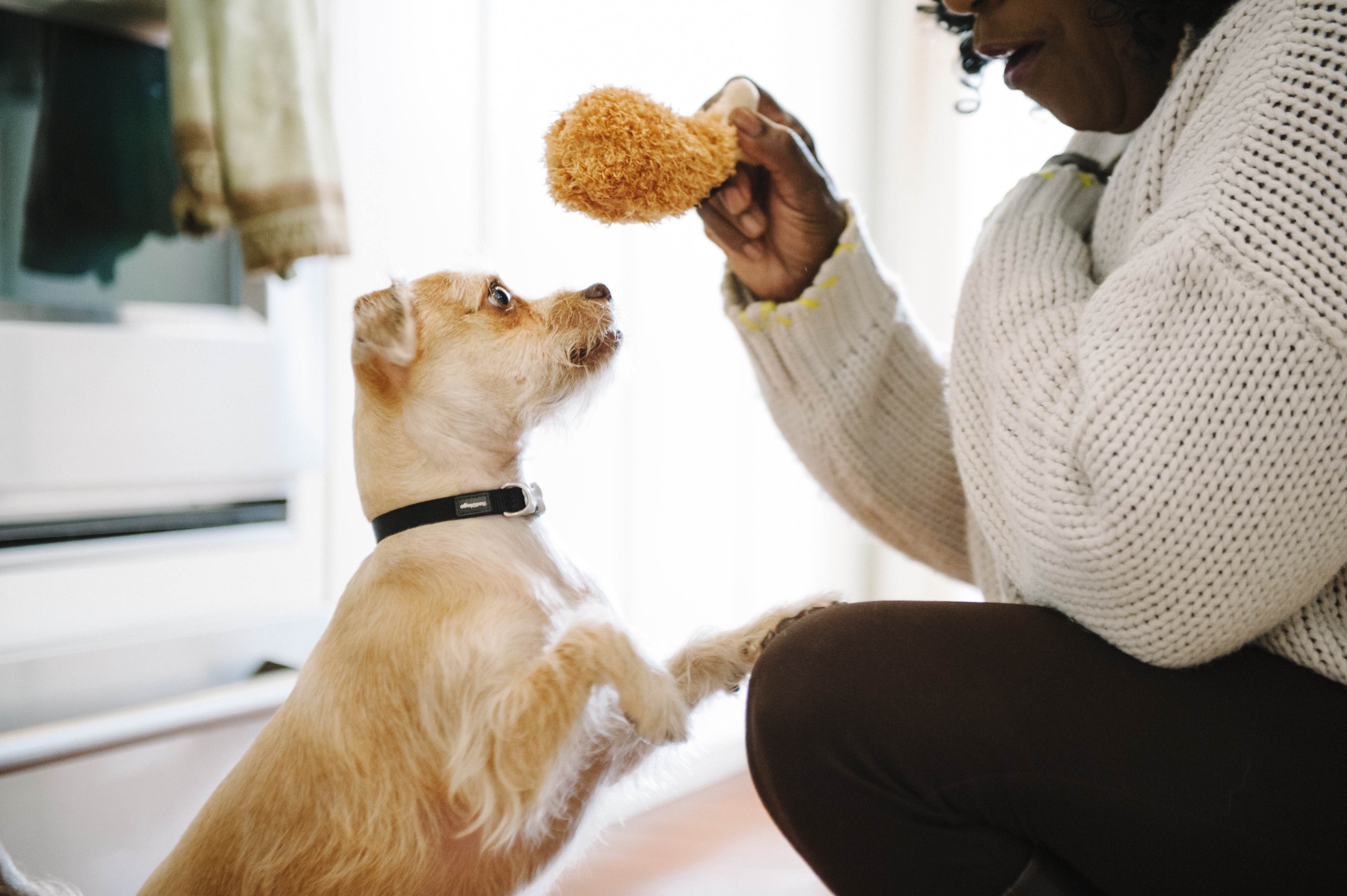 The American Classic Mini, Squeaky Plush Dog Toy