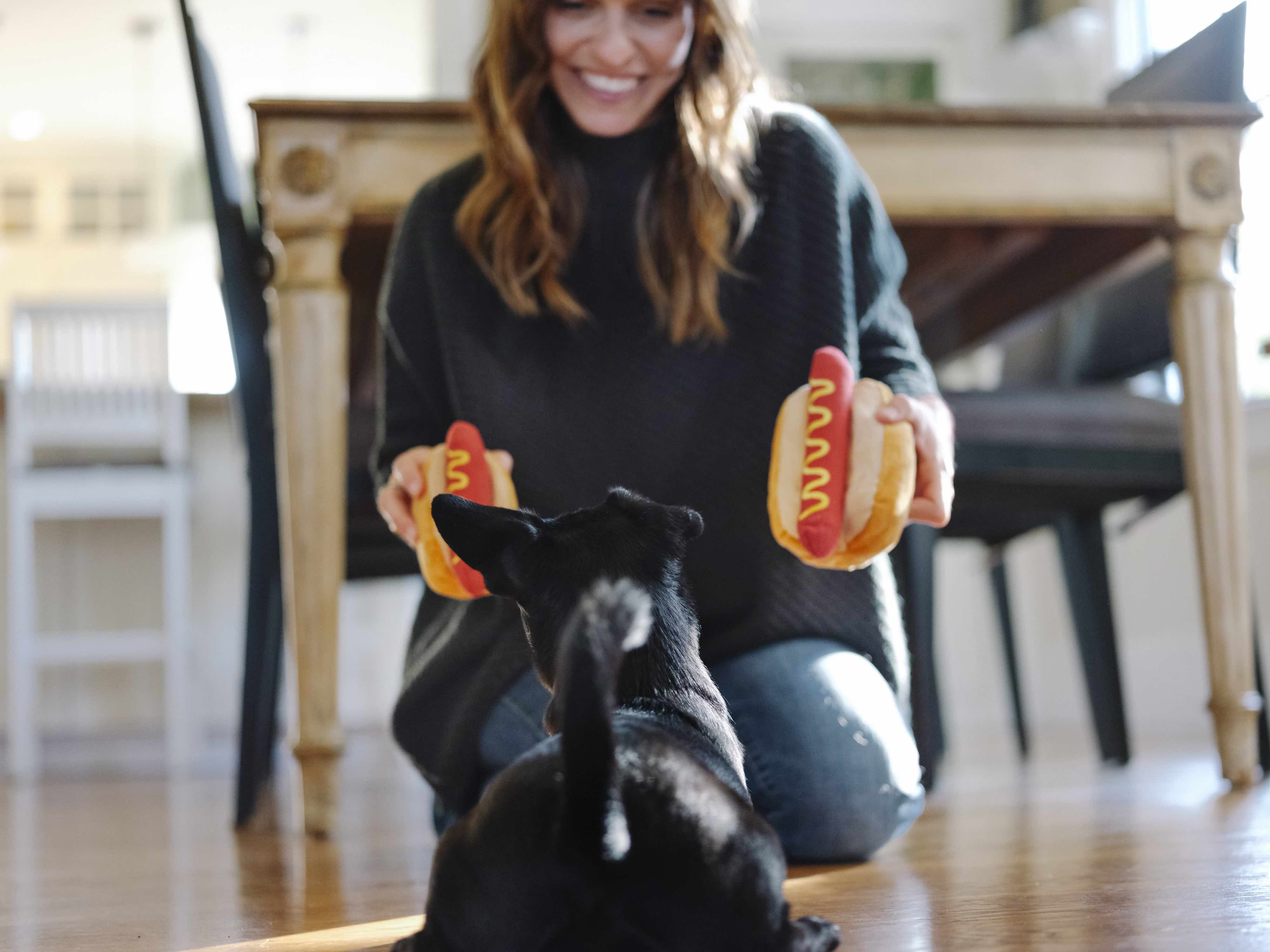 The American Classic Mini, Squeaky Plush Dog Toy