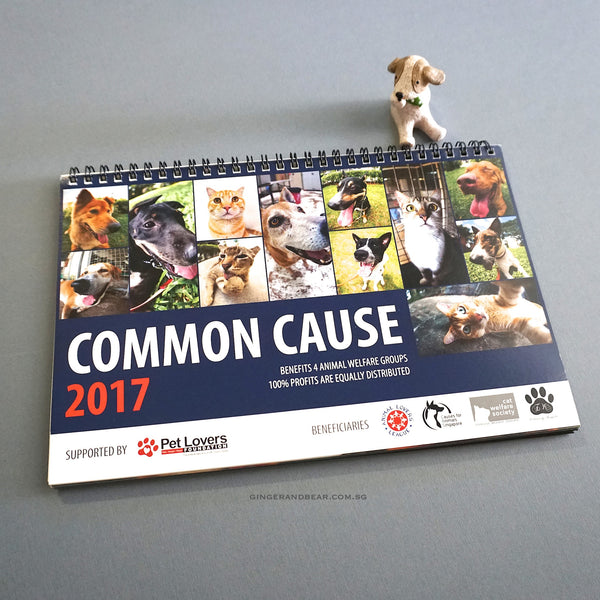 2017 calendar Common Cause