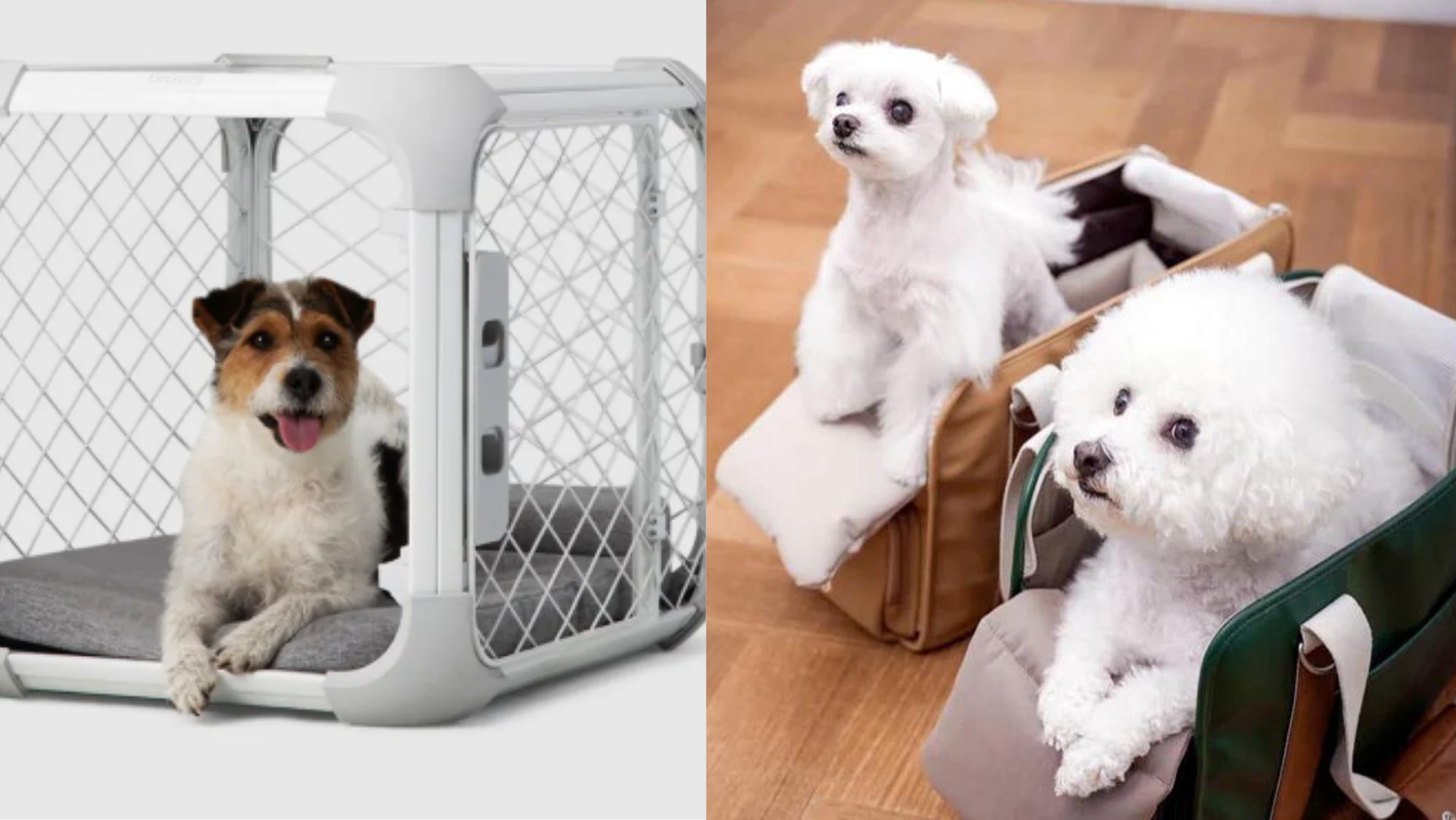 Crates vs. Dog Carriers: Choosing the Best for Your Pet's Safety and Comfort | Expert Guide