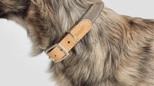 Dog Collars: A Comprehensive Guide to Style and Safety for Your Furry Friend