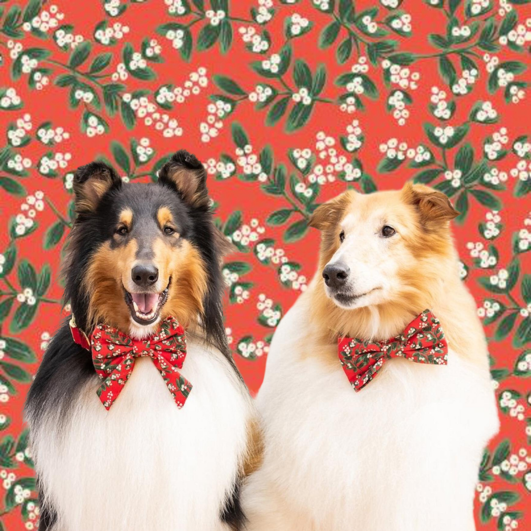 Christmas Wear for Dogs and Cats