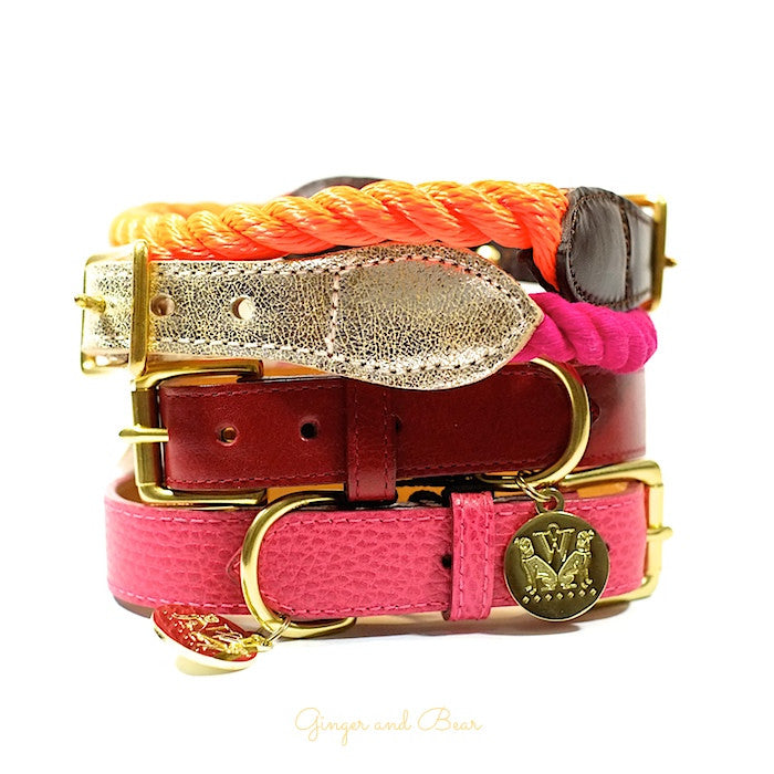Create a Statement with Ginger and Bear's quality Pet Collars