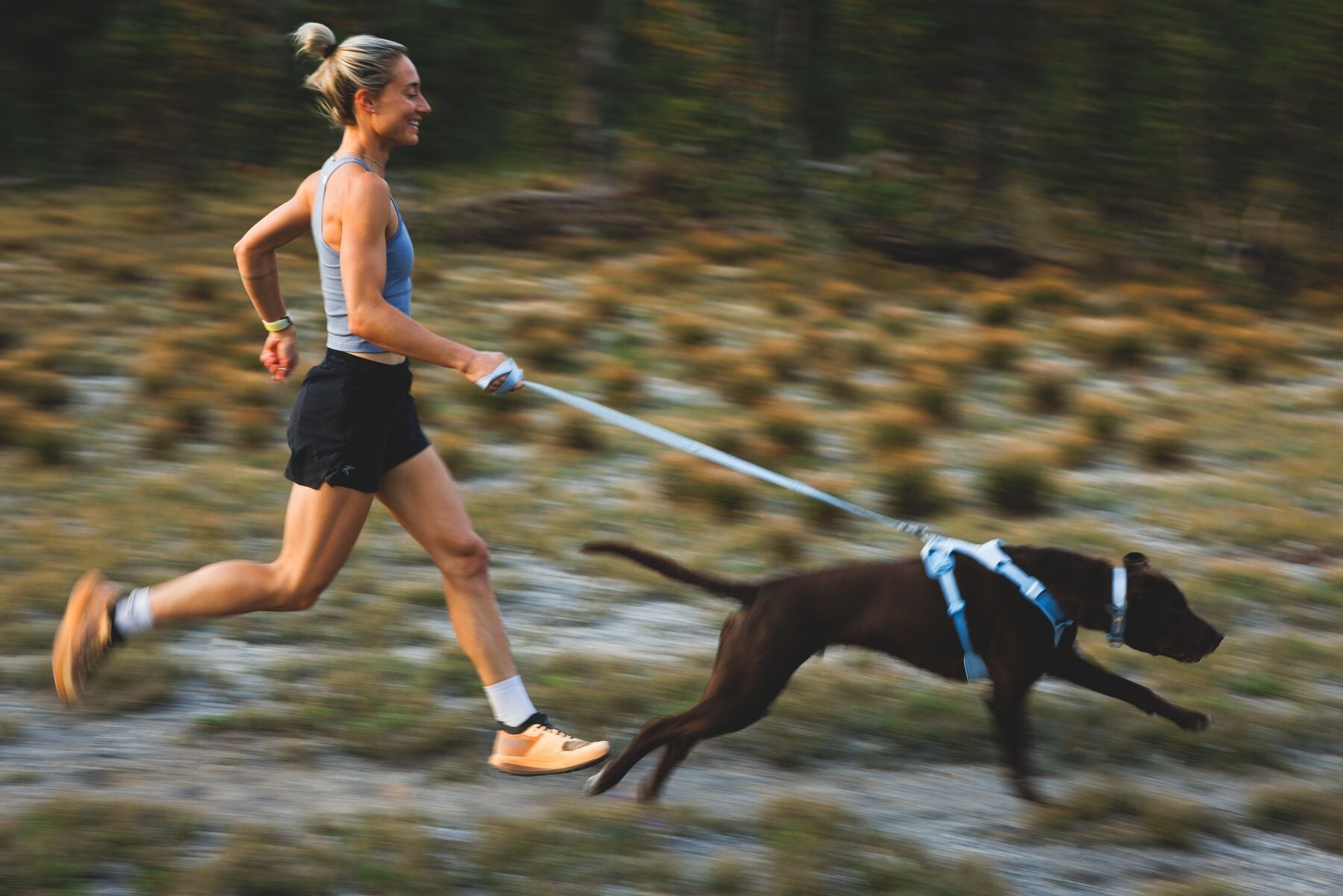 Ruffwear Front Range Singapore: Dog Harnesses, Leashes & Gear