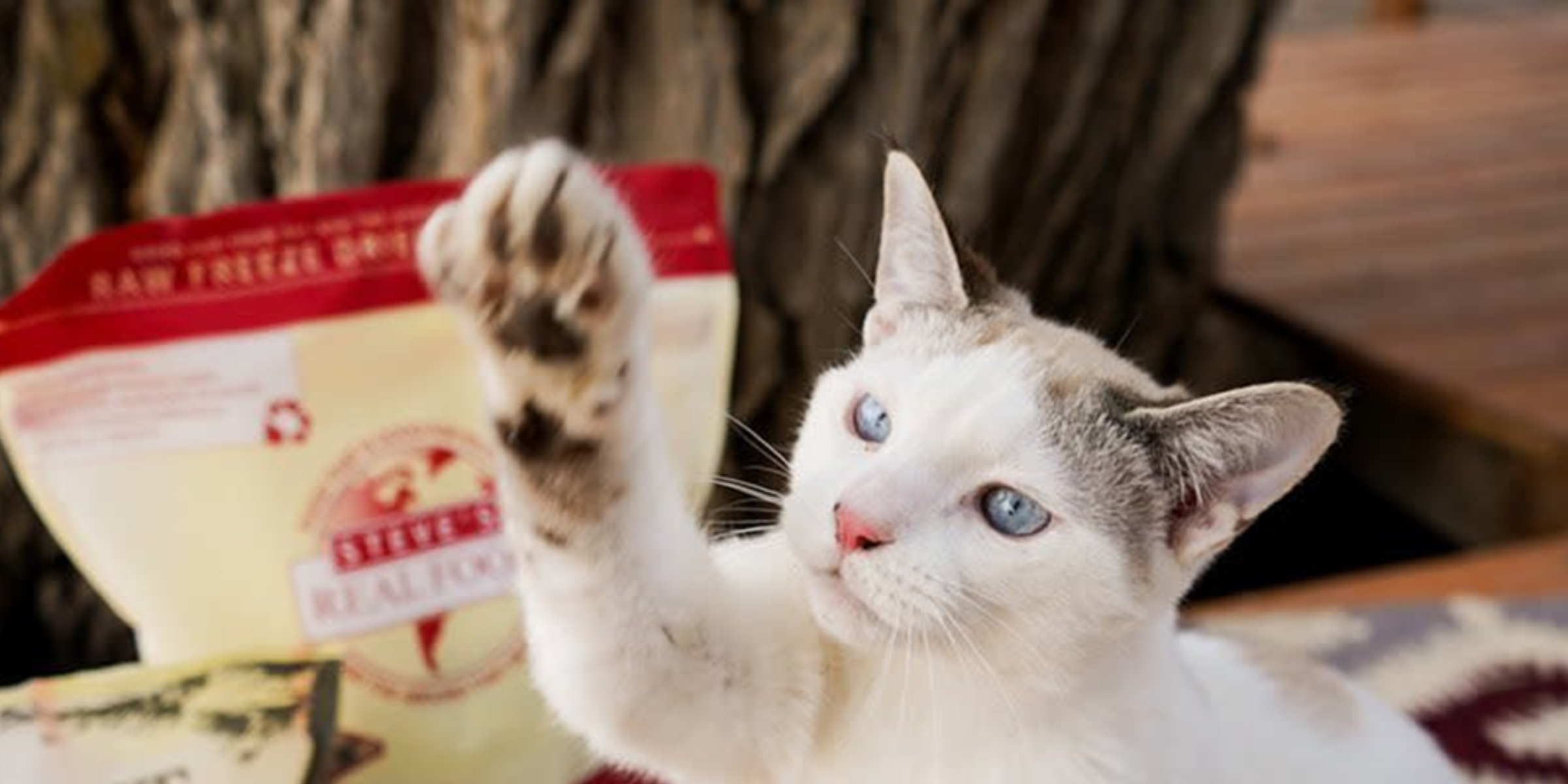 Cat Food and Meals [New!]