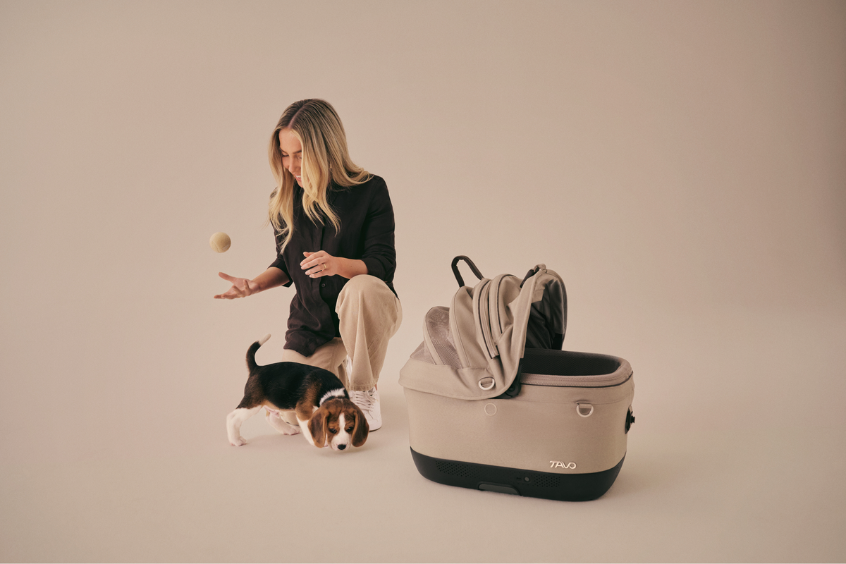 Tavo Pets Singapore: Pet Car Seats, Carriers, Strollers & Loungers 