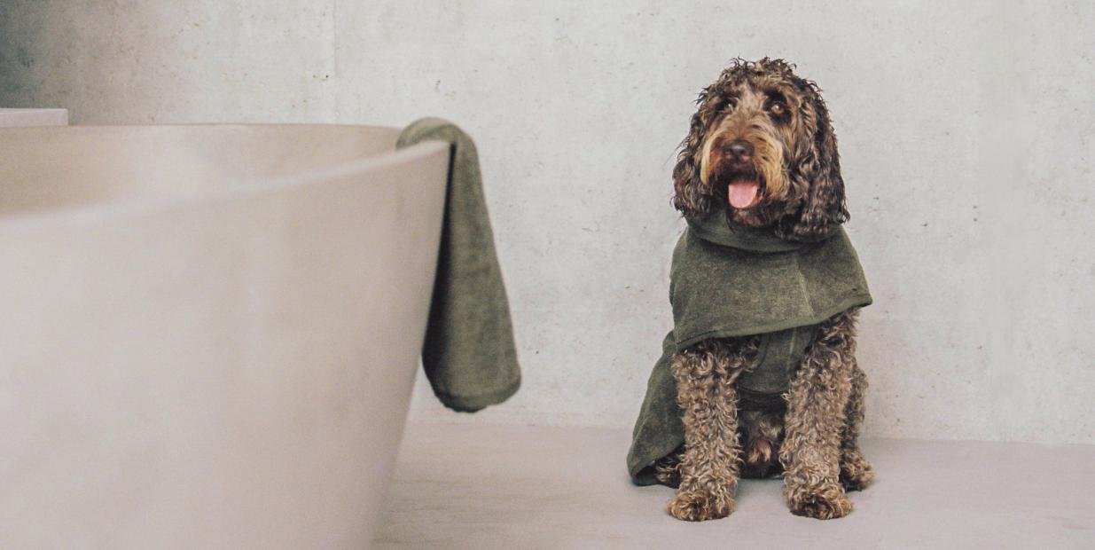 Dog Grooming Essentials: Discover the Best for Your Pet at Ginger and Bear
