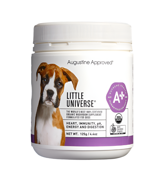 Augustine Approved Organic Mushroom Supplement for Dogs and Cats, Little Universe