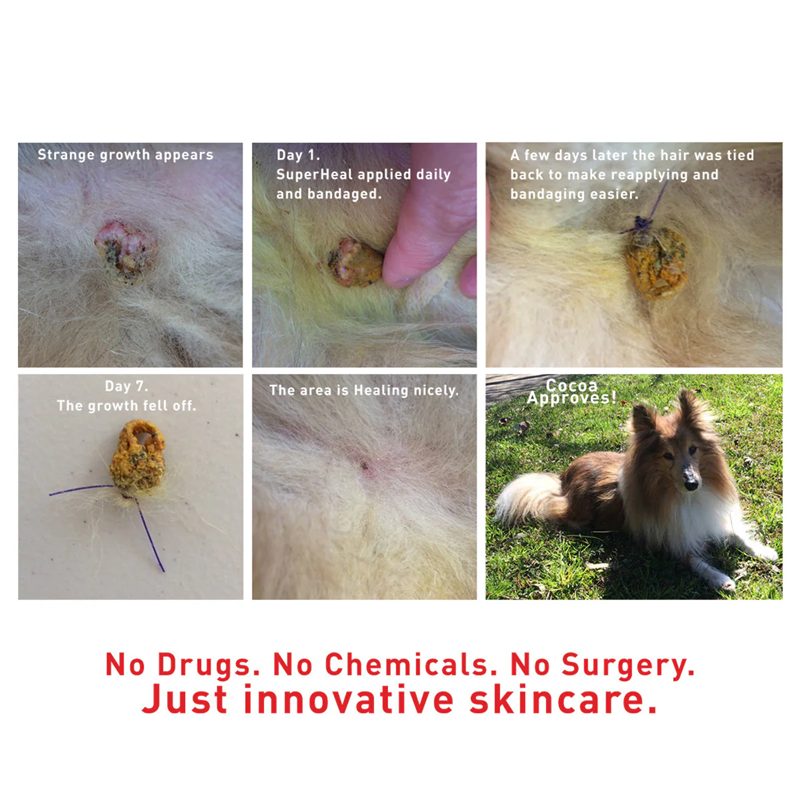 Augustine Approved Organic Skincare for Dogs and Cats, Augustine’s SuperHeal