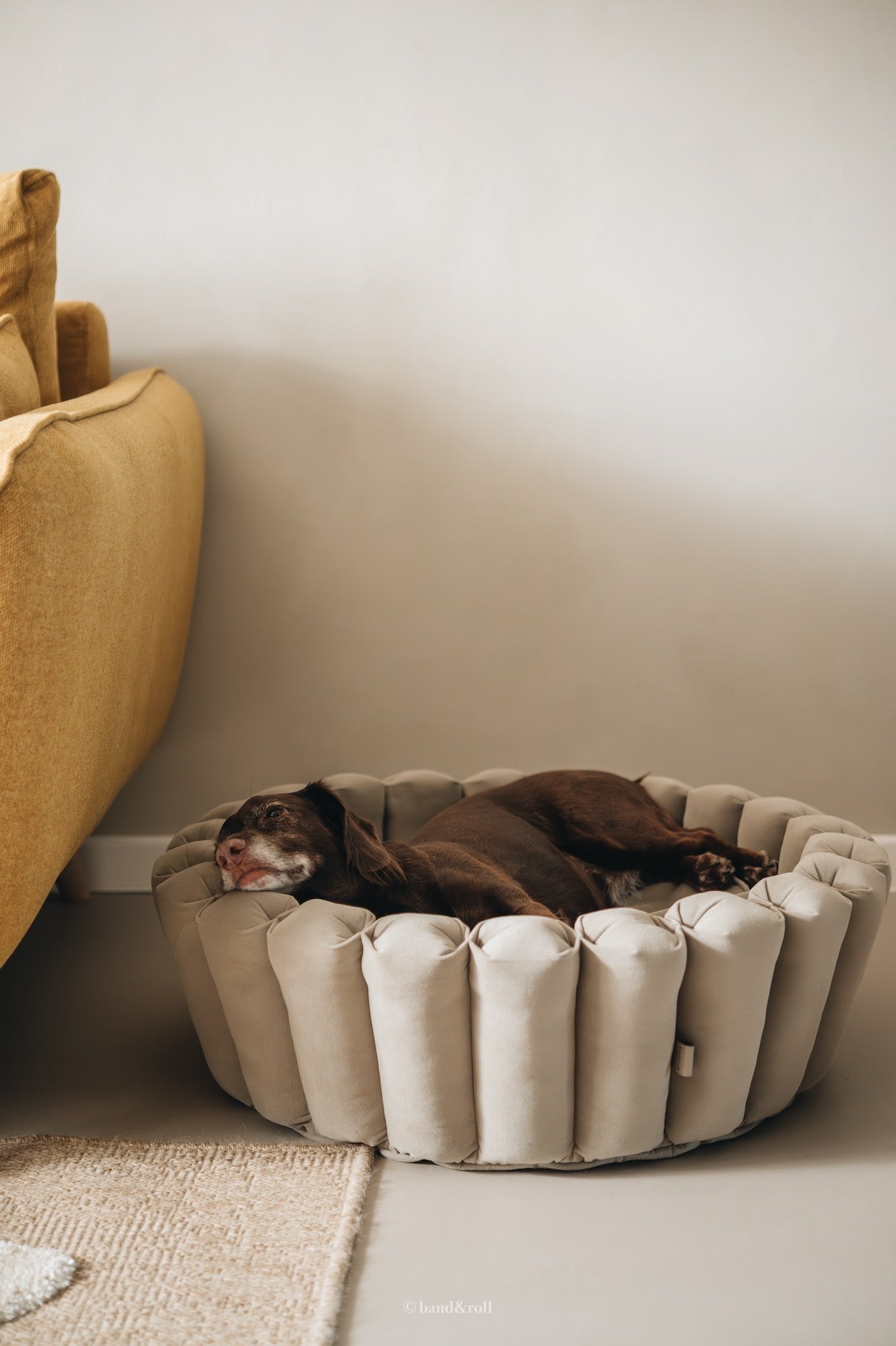 Band & Roll Haven Modern Dog Bed | Washable Cushion Dog Bed