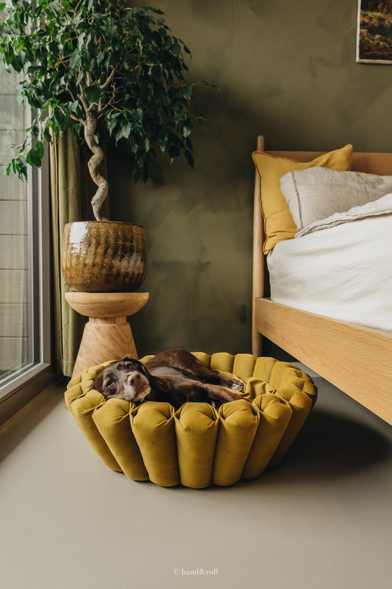 Band & Roll Haven Modern Dog Bed | Washable Cushion Dog Bed