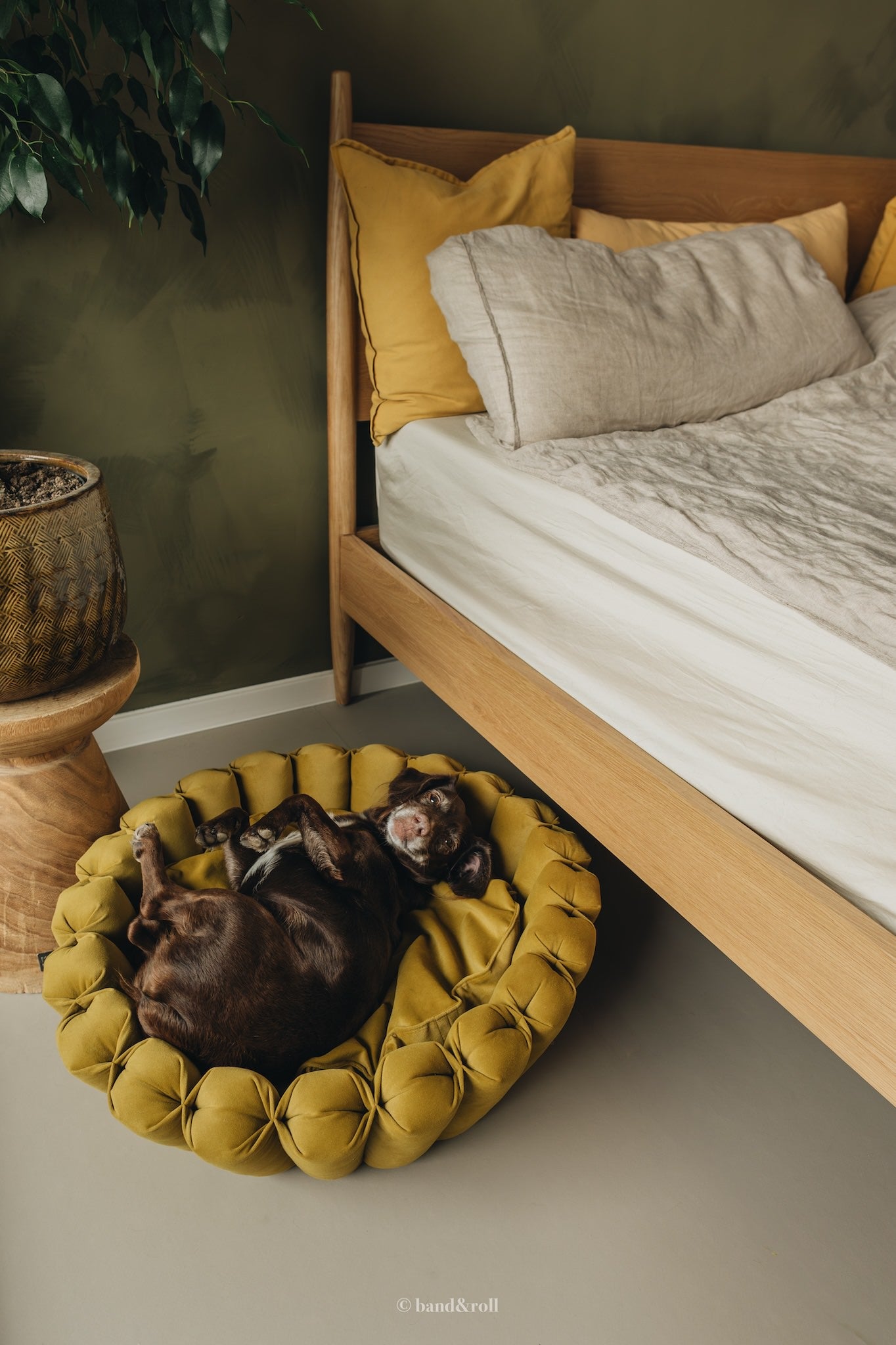 Band & Roll Haven Modern Dog Bed | Washable Cushion Dog Bed