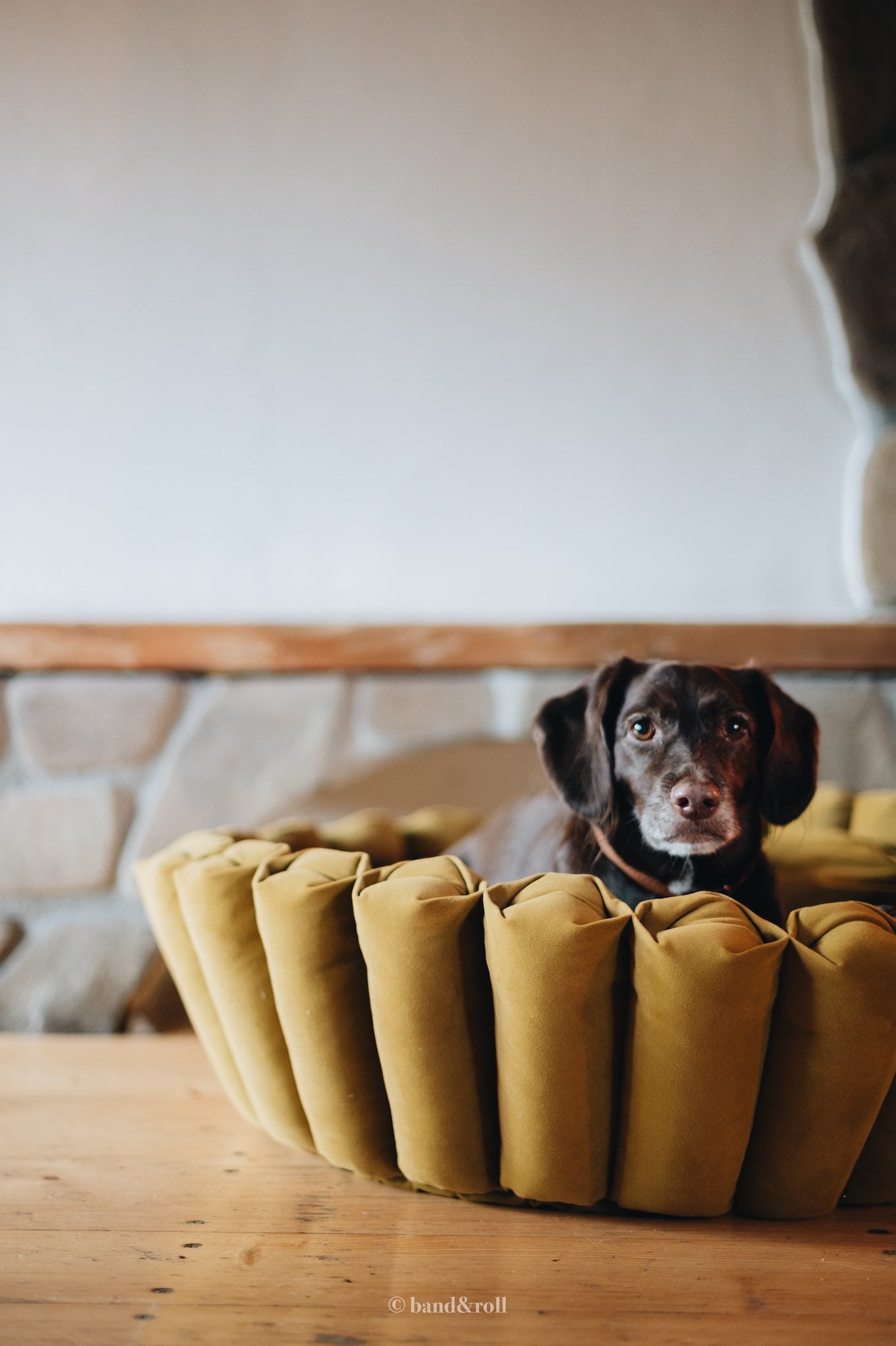 Band & Roll Haven Modern Dog Bed | Washable Cushion Dog Bed