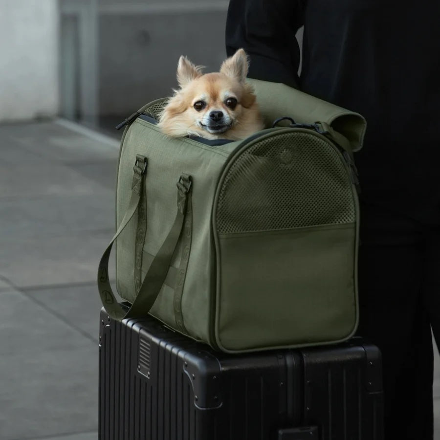 [Pre-Order] Cloud7: AKTIV Dog Flight Carrier, Olive