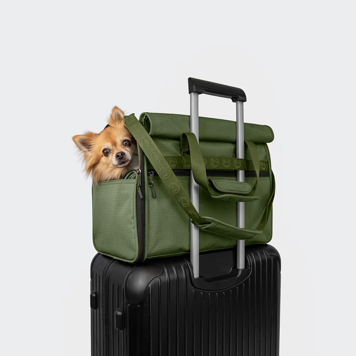 [Pre-Order] Cloud7: AKTIV Dog Flight Carrier, Olive