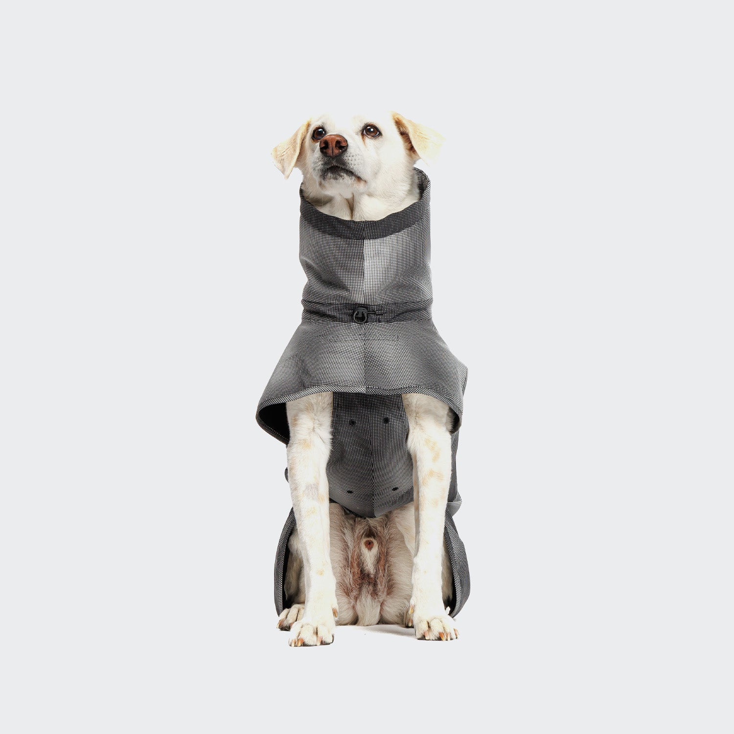 Cloud7 AKTIV reflective dog raincoat in high-visibility color, showcasing the extended shape and relaxed cut for full body coverage on a dog.